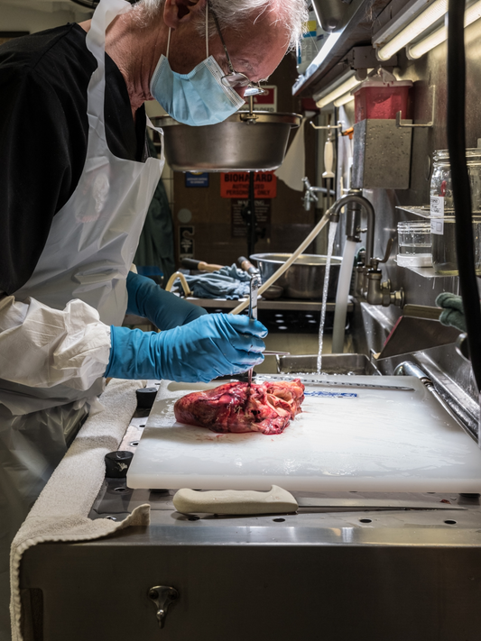 Manusi latex high risk medicina legala, 12g, ultra-groase, Mercator Ambulance