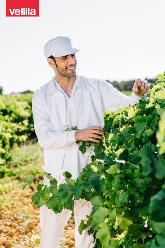 Halat lung tercot capse cu mansete elastice alb V259001