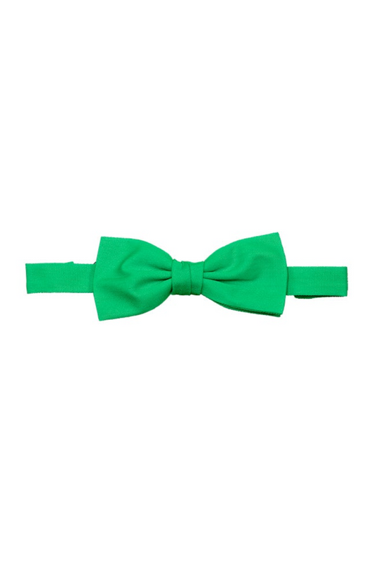 Papion tercot 190g verde V404006