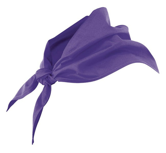 Esarfa tercot 190g Violet V404003